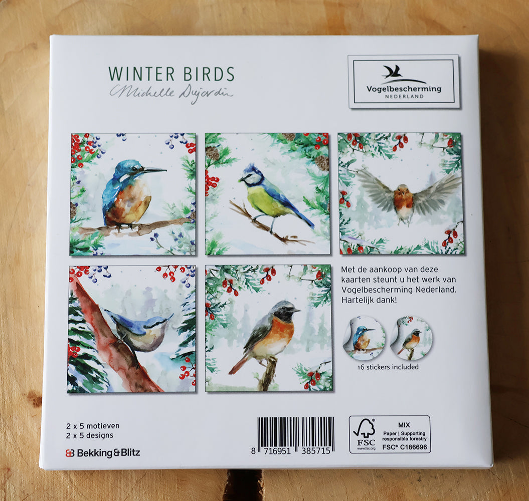 Wenskaarten Wintervogels met ijsvogel (2025) i.s.m Vogelberscherming Nederland