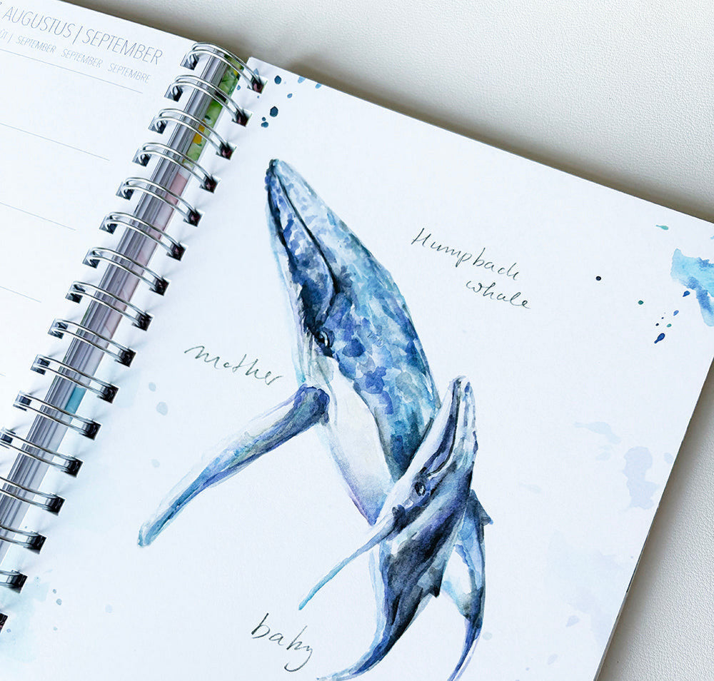 Ring binder diary 2027 'Water a Source of Life '