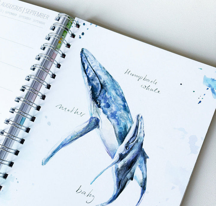 Ring binder diary 2027 'Water a Source of Life '
