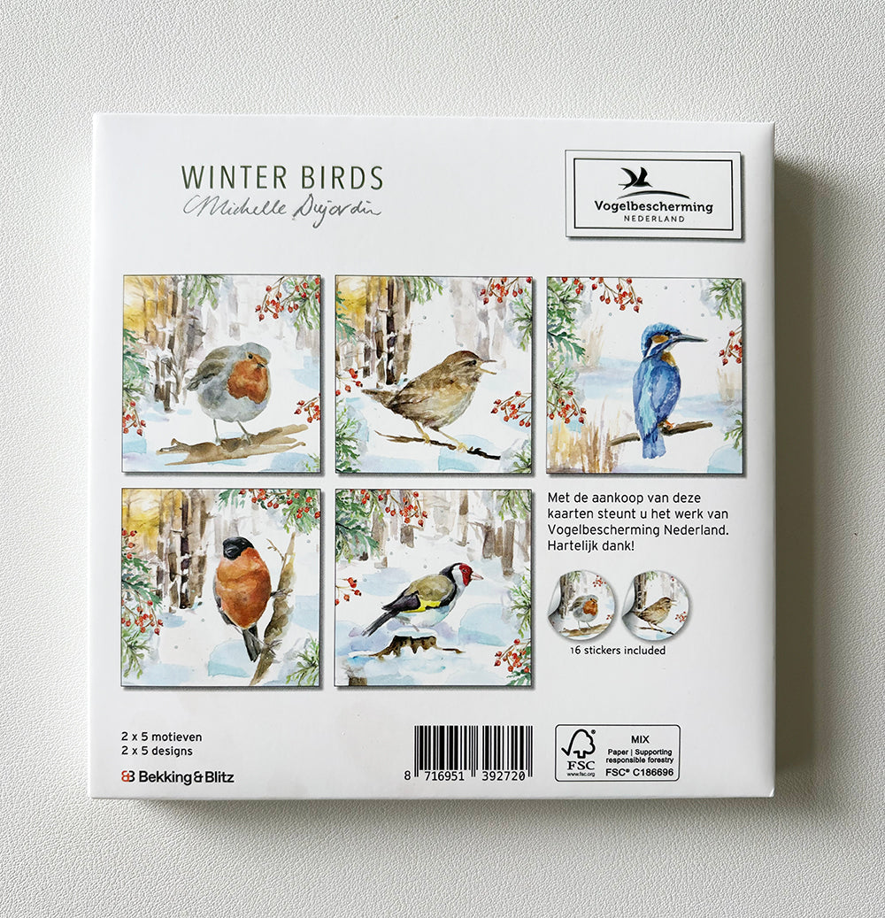Greeting cards 'Winter Birds' by Michelle Dujardin (2026 release) with kingfisher