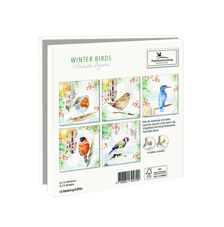 Greeting cards 'Winter Birds' by Michelle Dujardin (2026 release) with kingfisher
