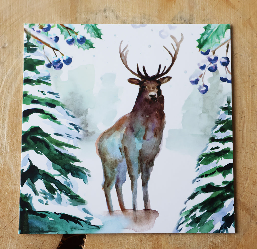 Wenskaarten 'Winterdieren' met eekhoorn (2025, ism natuurmonumenten) van Michelle Dujardin