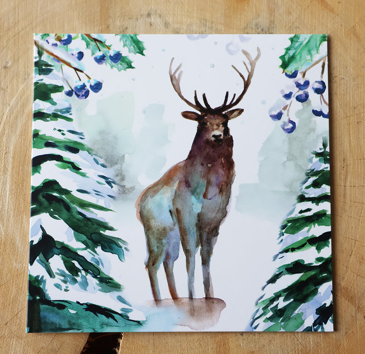 Wenskaarten 'Winterdieren' met eekhoorn (2025, ism natuurmonumenten) van Michelle Dujardin