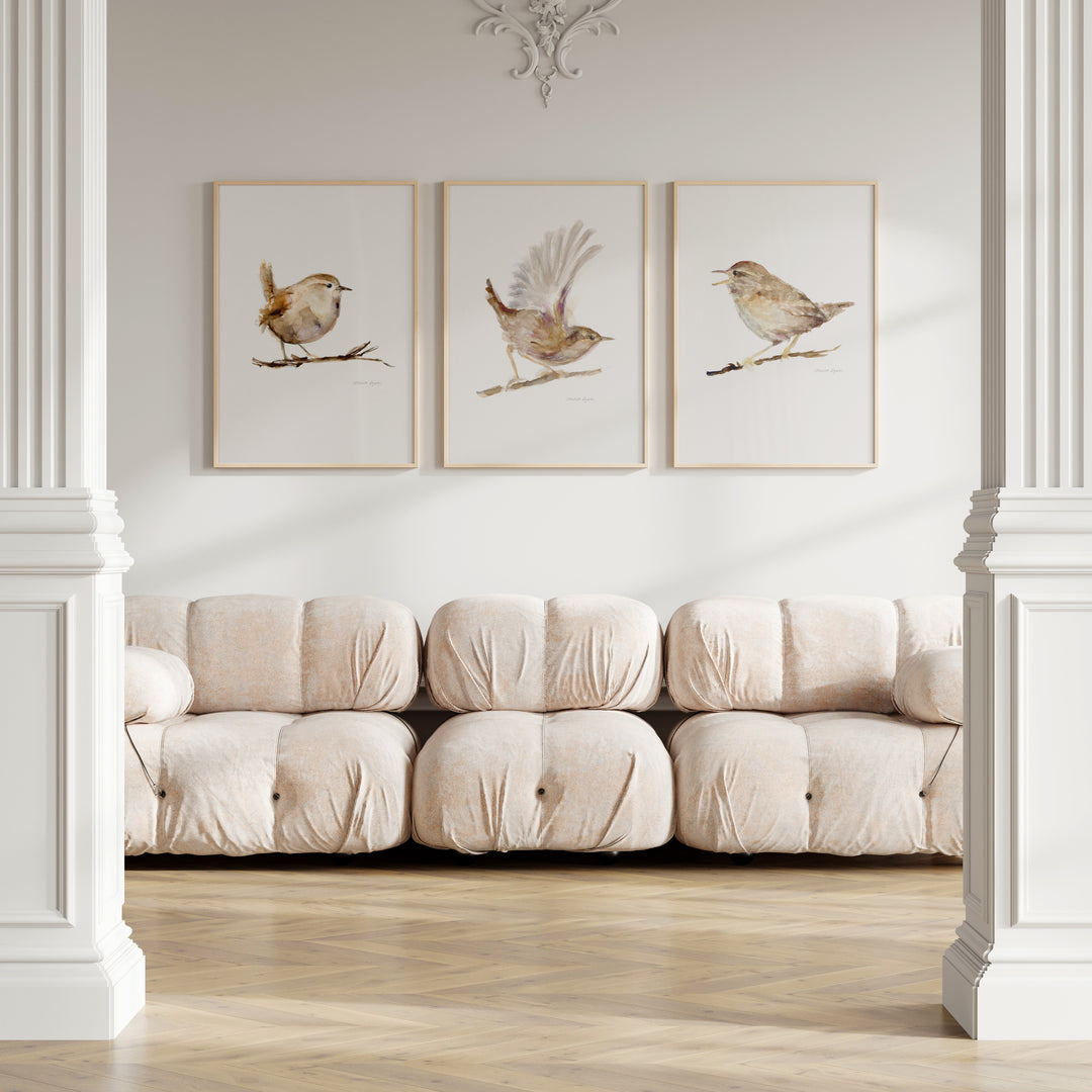 Rustig Interieur met drie winterkoninkjes aan de muur