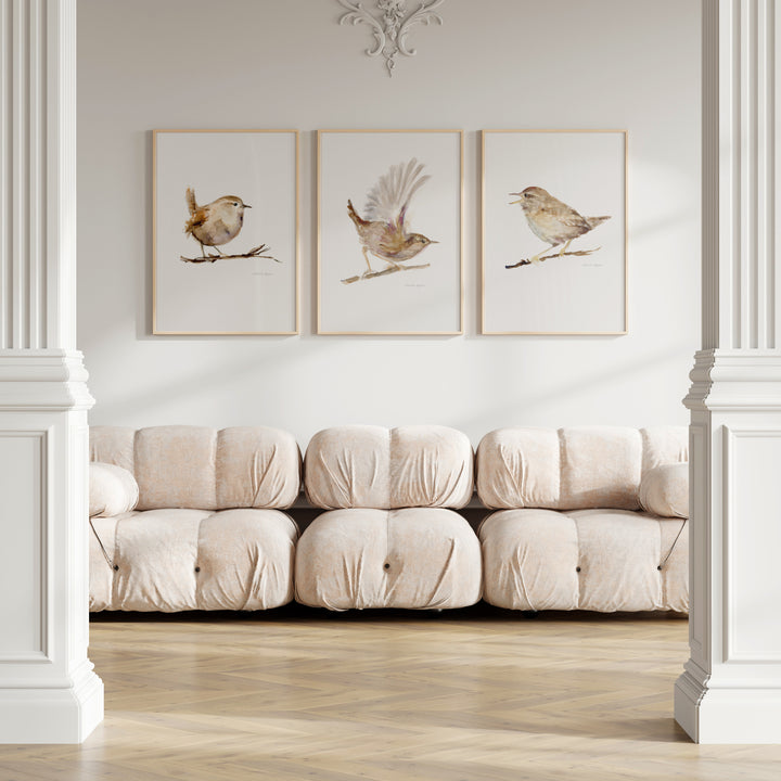 Rustig Interieur met drie winterkoninkjes aan de muur