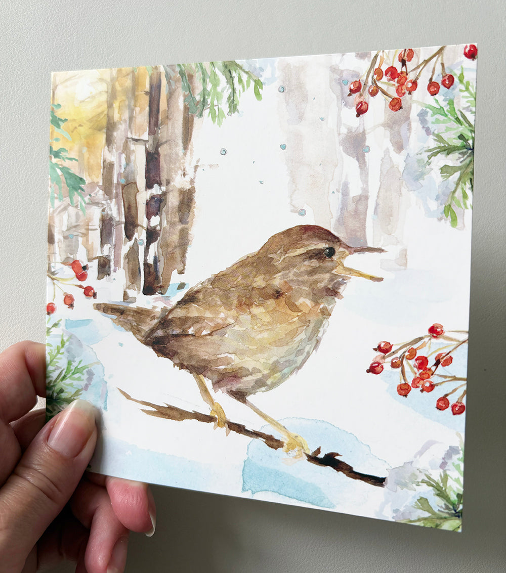 Greeting cards 'Winter Birds' by Michelle Dujardin (2026 release) with kingfisher