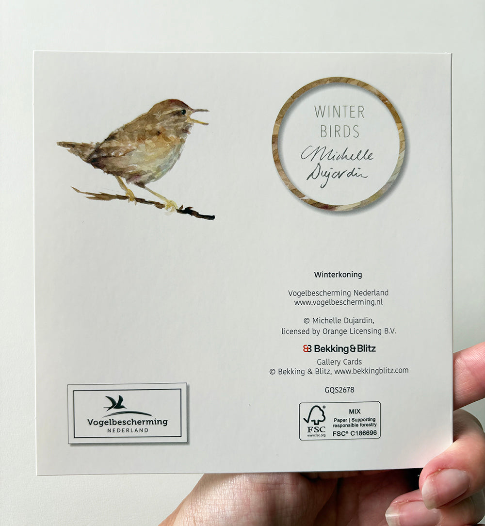 Greeting cards 'Winter Birds' by Michelle Dujardin (2026 release) with kingfisher