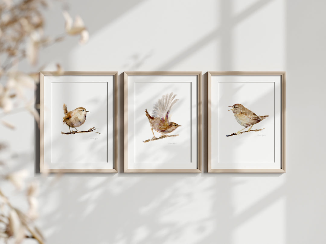 Ingelijste prints van de winterkoning