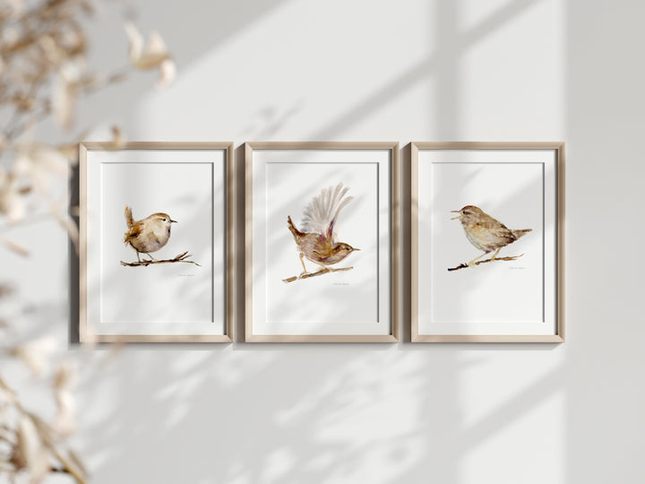 Ingelijste prints van de winterkoning