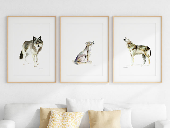 Three framed prints of wolves on a wall above a sofa.