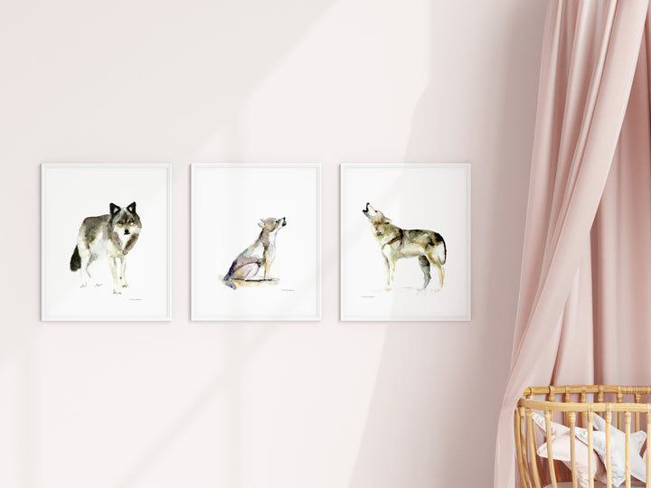 Three framed wolf prints on a wall with a pink curtain and crib in the background.