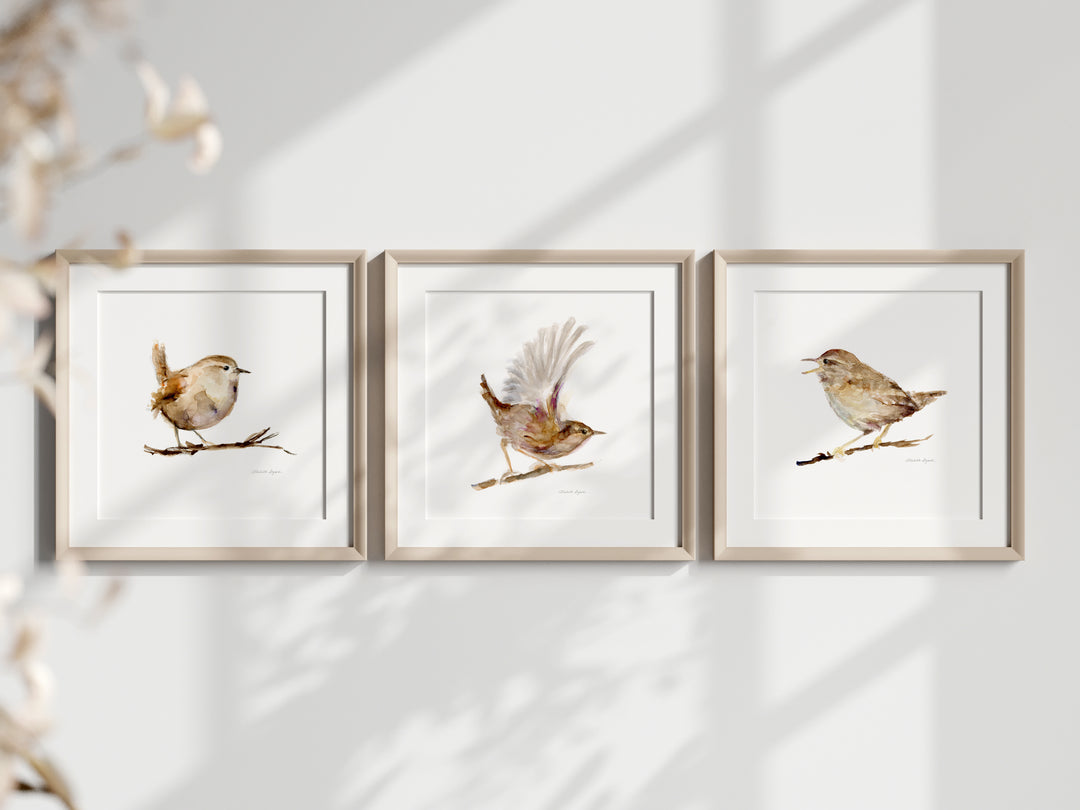 Three framed prints of birds on a white wall
