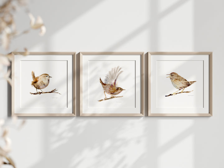 Three framed prints of birds on a white wall