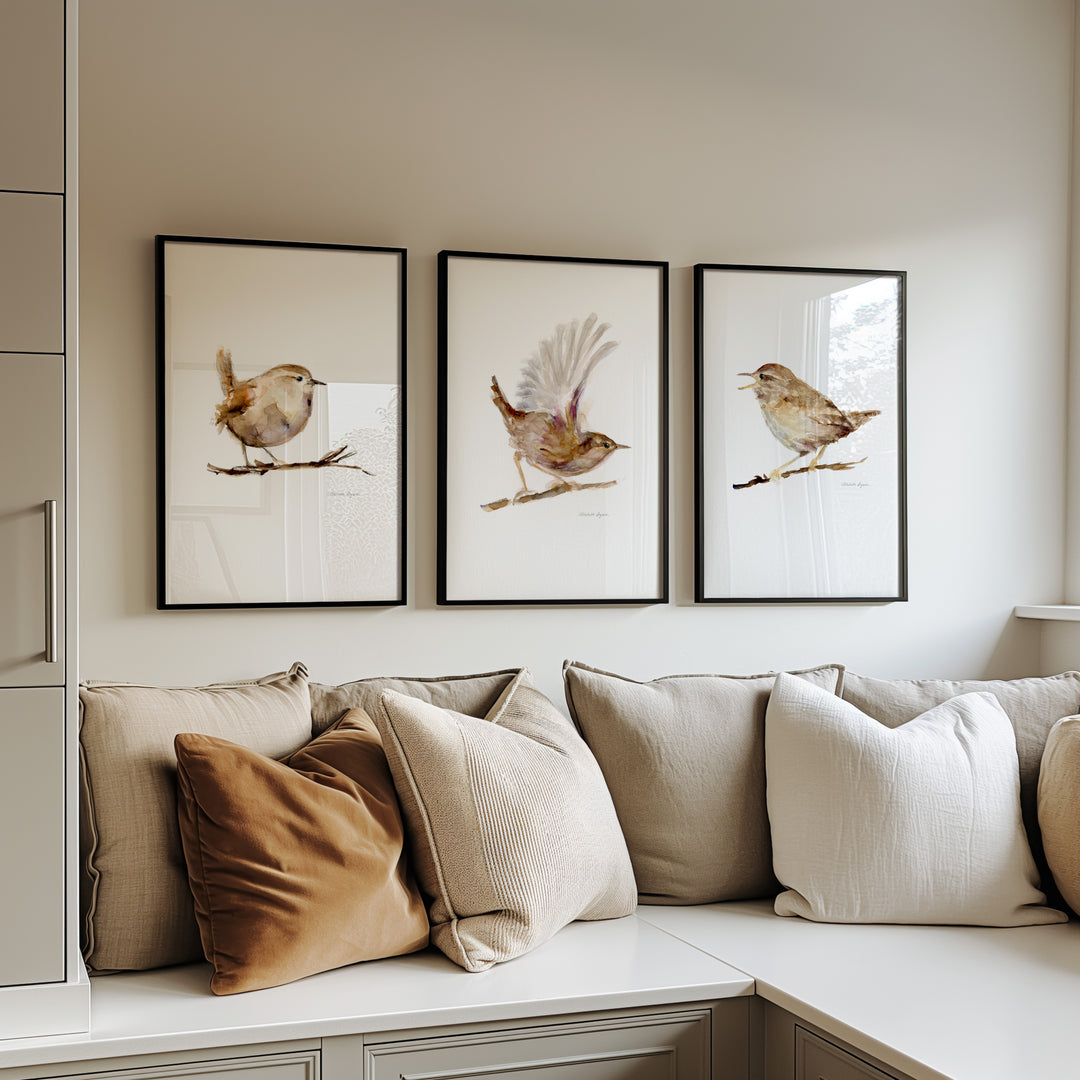 Three framed prints of birds above a sofa with decorative pillows.