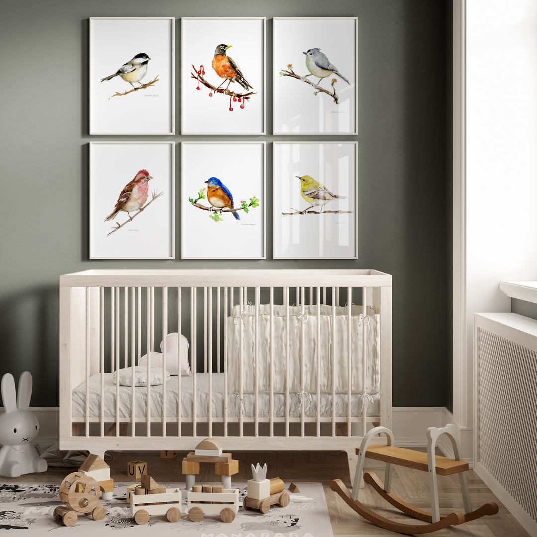 Kinderkamer met 6 zangvogels in verschillende kleuren