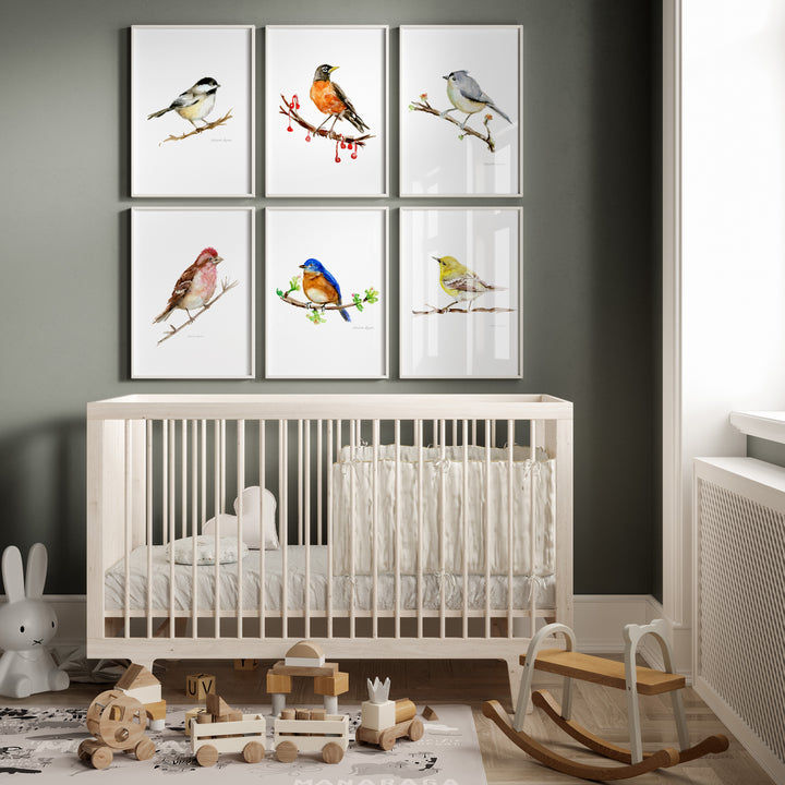 Kinderkamer met 6 zangvogels in verschillende kleuren