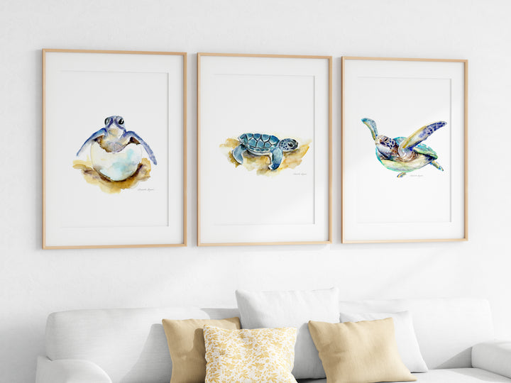 Set van 3 Zeeschildpadden Prints