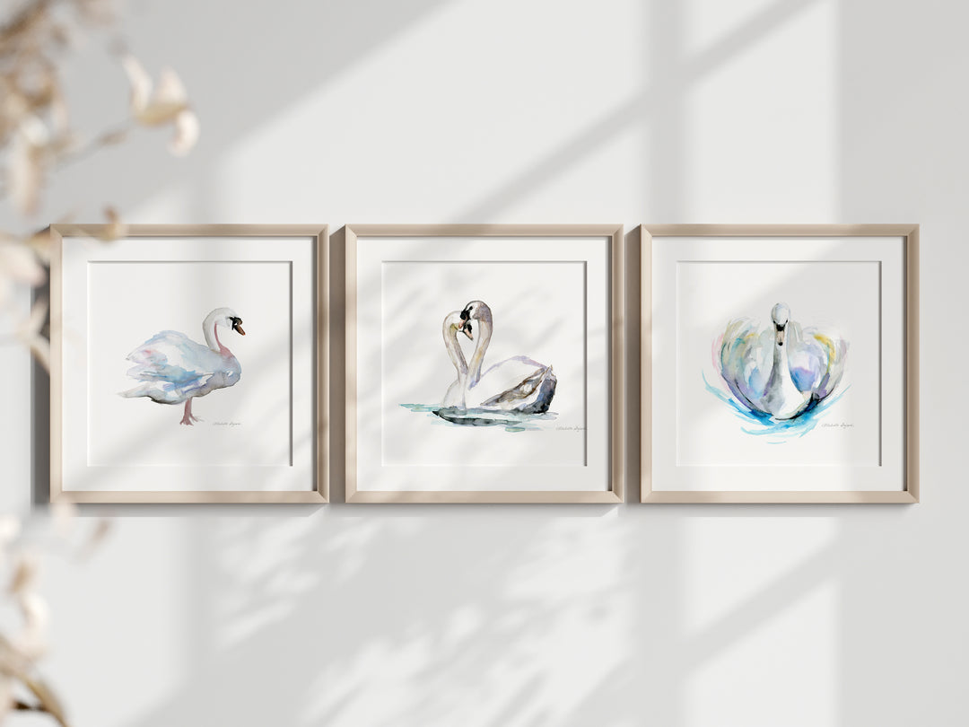 3 ingelijste zwanen prints in houten lijstjes